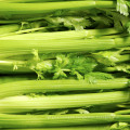 2021 New Crop Chinese High Quality Cheap Fresh Carrot Green Celery